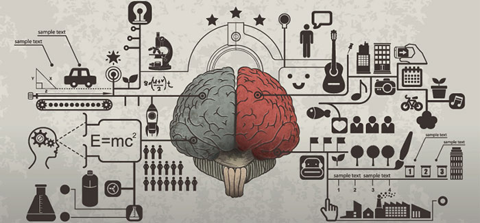 All Our Brains Generate Emotions The Same Way